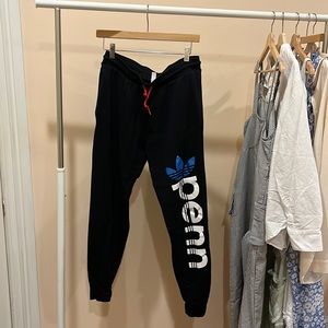 Custom UPenn sweatpants Adidas themed [Like New, Size M]